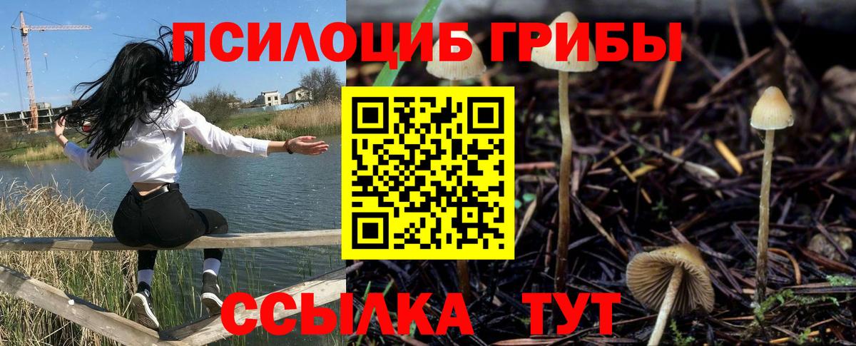 Абакан  магазин  наркотиков  Вход с VPN  Галлюциногенные грибы Psilocybine cubensis  Галлюциногенные грибы прущие грибы 
