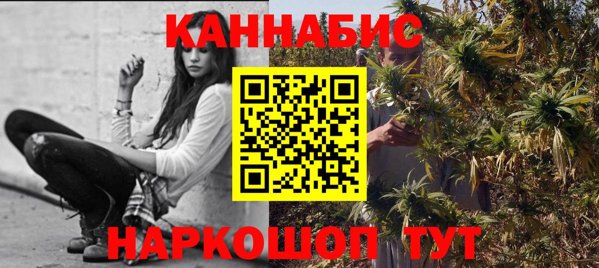Марихуана гибрид Абакан